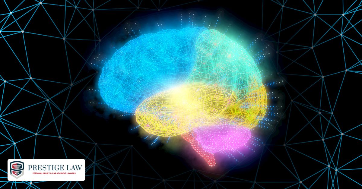Brain's protective meningeal layers
