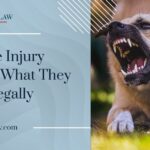 Dog Bite Injury Grades: What They Mean Legally