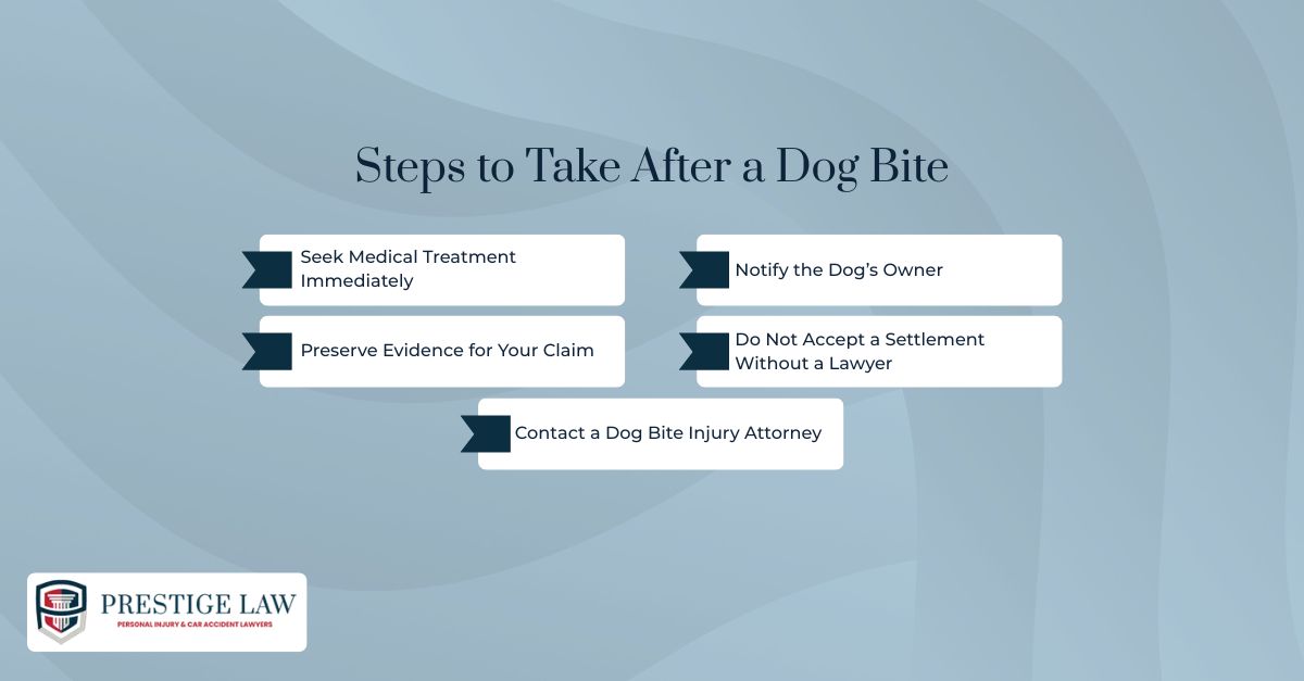 Steps to Take After a Dog Bite