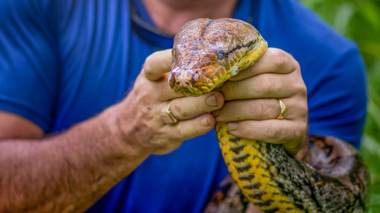 a man holding a snake