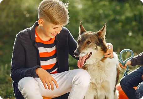 Encino Dog Bite Lawyer